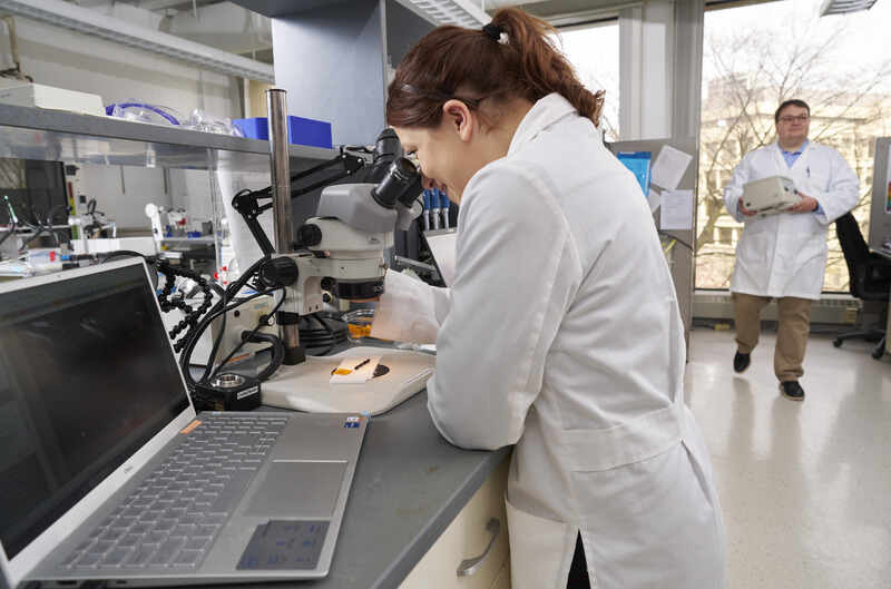 Woman in lab looking through microscope