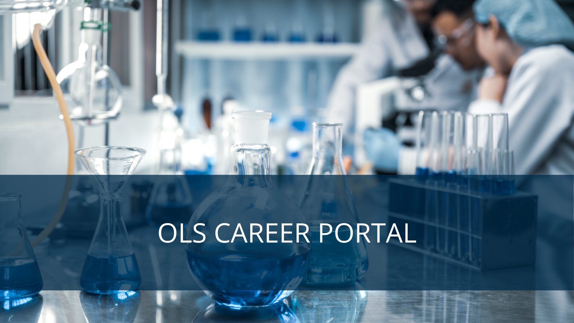 Connecting Talent & Opportunity: The OLS Career Portal